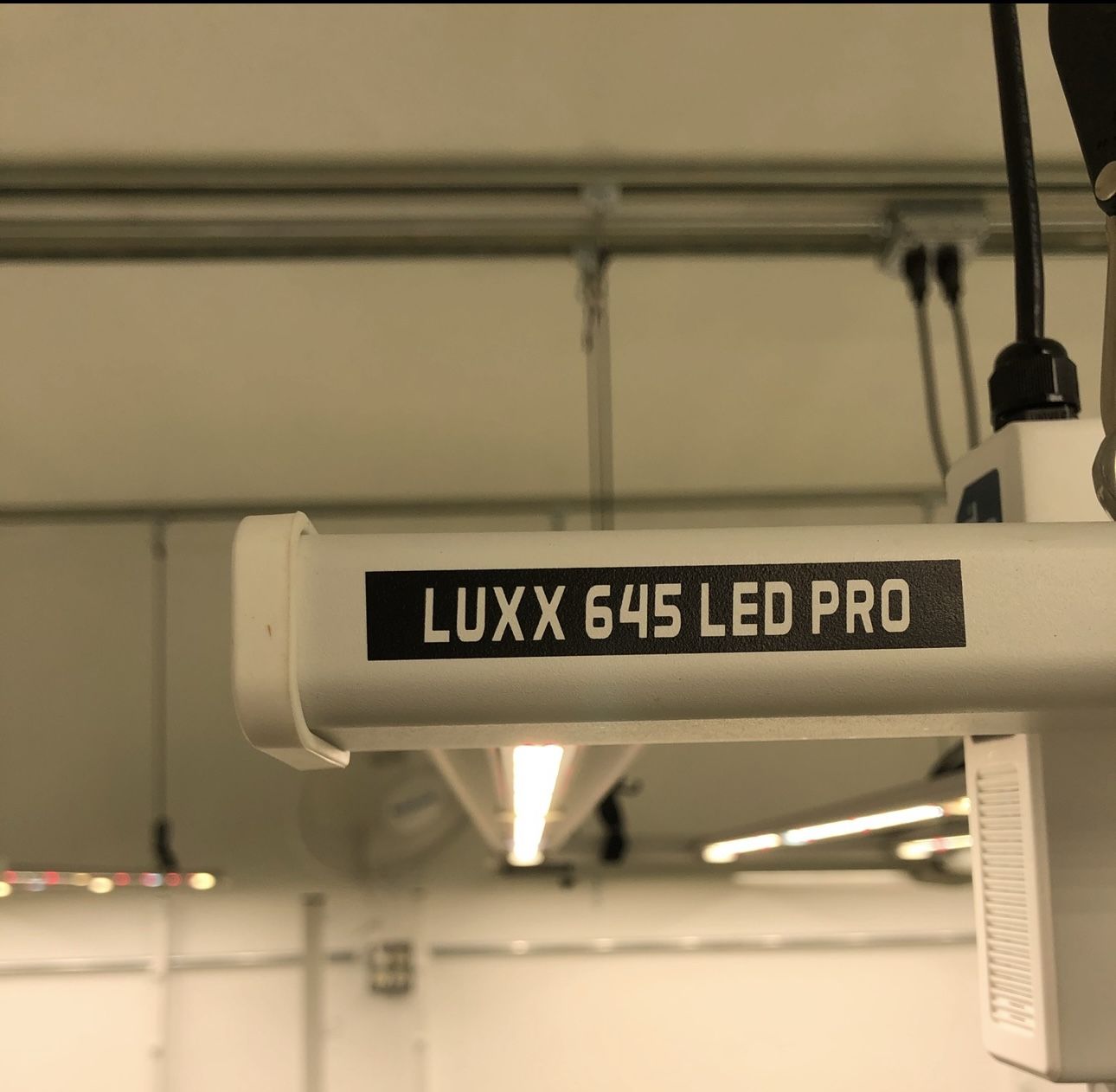 Luxx 645 led pro