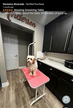 Pet grooming table