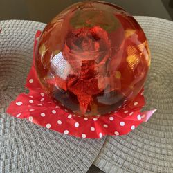 Glass Roses 🌹 