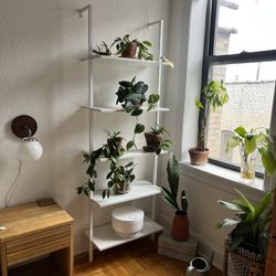 Modern minimalist 5-shelf ladder wall bookshelf