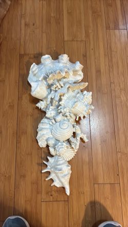 Sea shells wall hanging