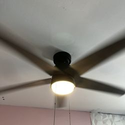 Selling Cealing Fan