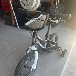 Schwinn Bike