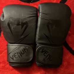 Venum Boxing Gloves