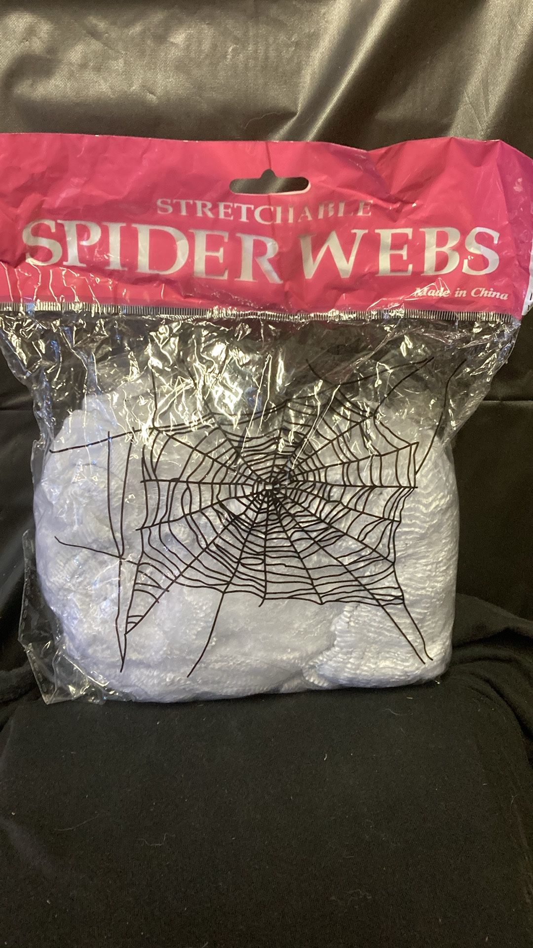 Spider web and spider Halloween decoration