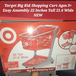 Target Big Kid Shopping Cart Brand New Sold Out