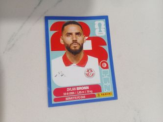 Panini