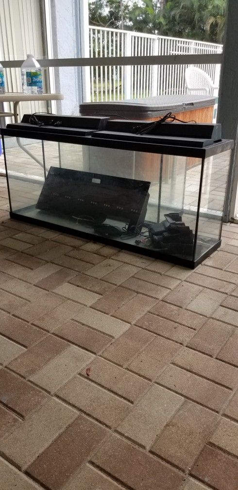 Fish /Reptile Tank