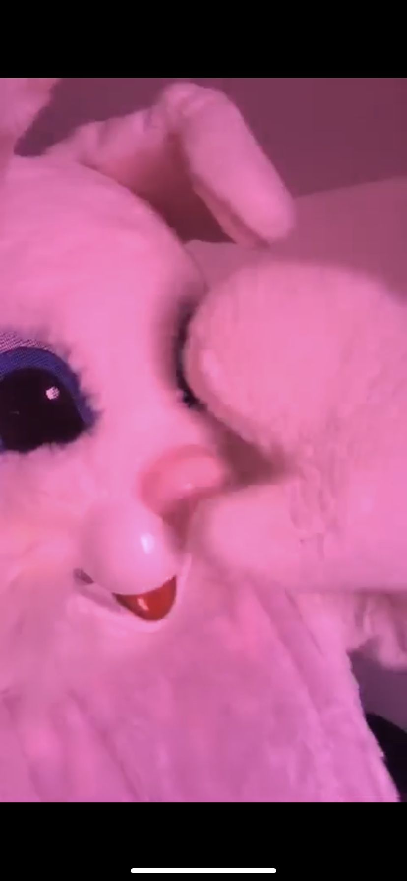 Easter Bunny Show up And Pictures 35$ To Stay For 10 Minutes And Help Hide Eggs