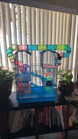 Hamster cage