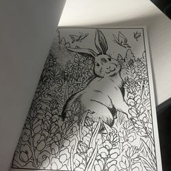 Wildflowers coloring book