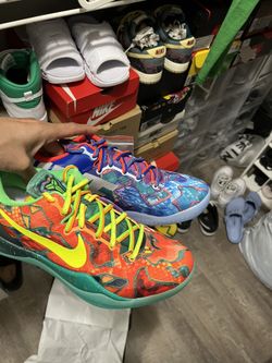What The kobe 8 8.5