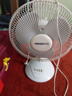Fan