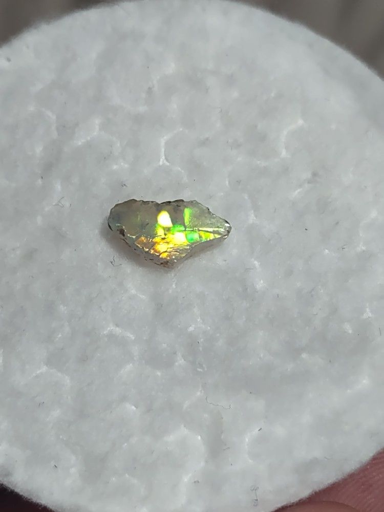 stunning rainbow honeycomb opal