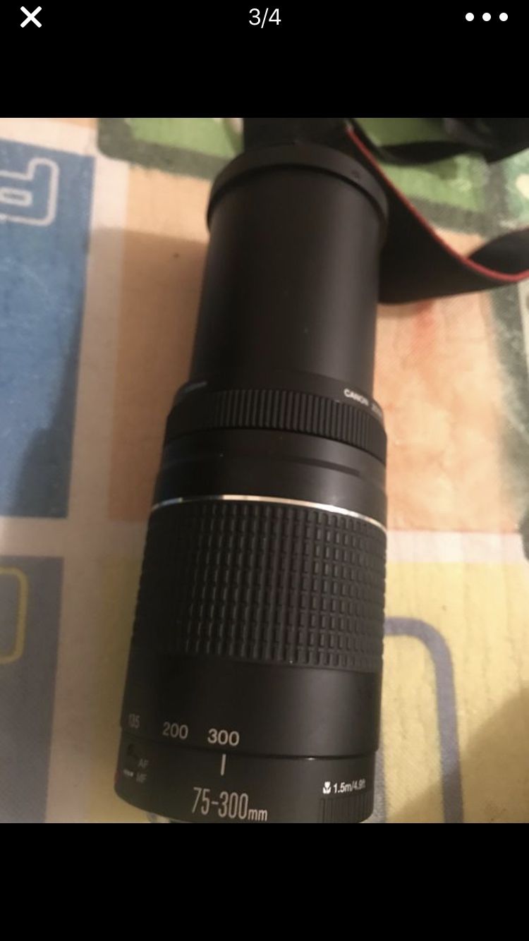 Canon 500D with 75-300mm canon lens