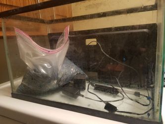 5 gal Aquarium