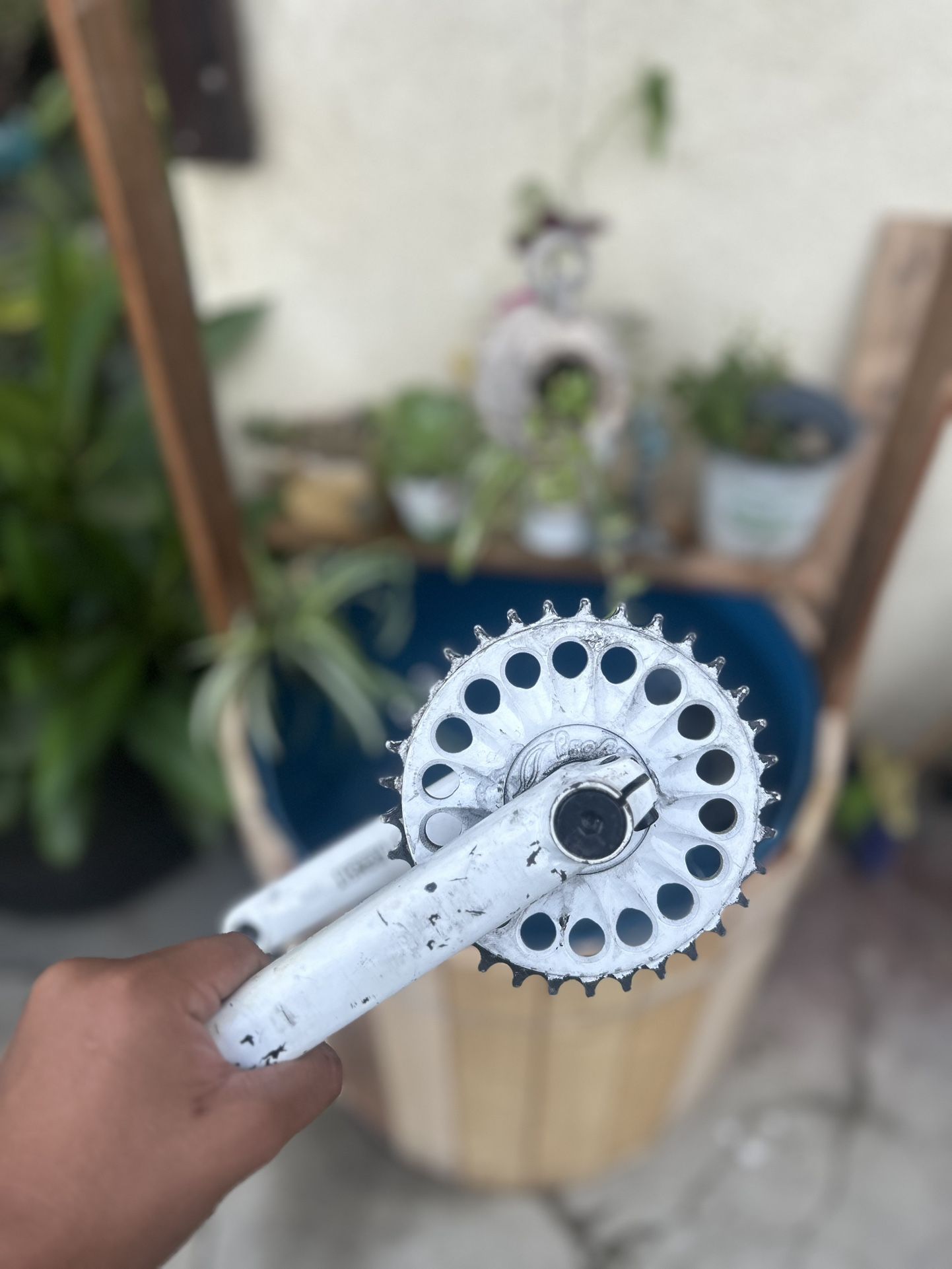 Custom Crankset