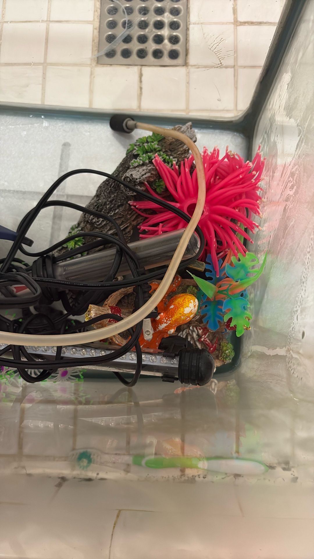 FISH TANK NOT FREE