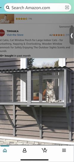 Cat window