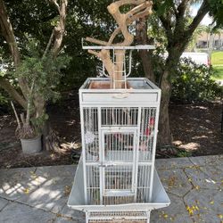 Bird Cage Jaula