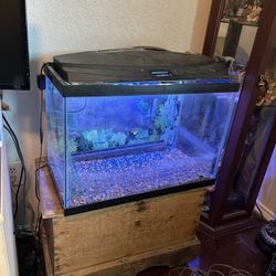 Fish Tank With Pump