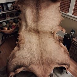 Tanned Elk Hide