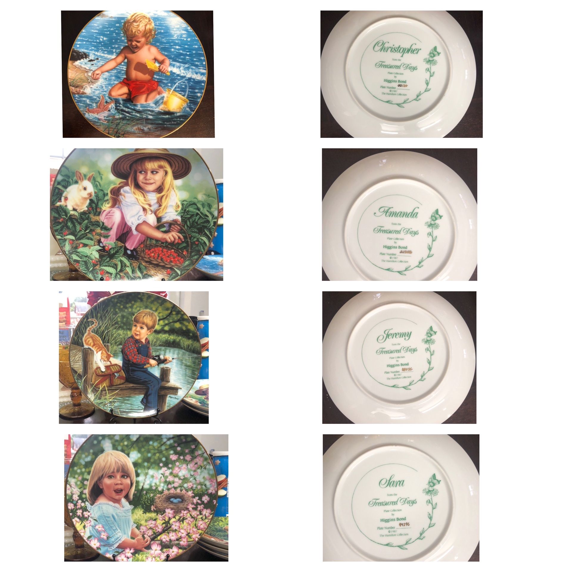 Treasured Days Plate Collection