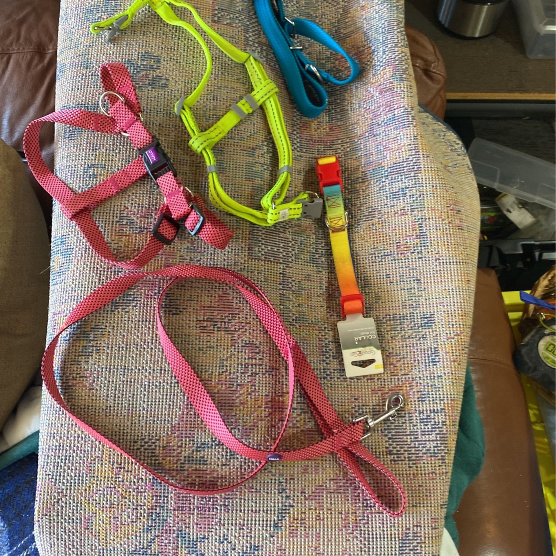 2 Harness- 2 Collars 1 Lease - New