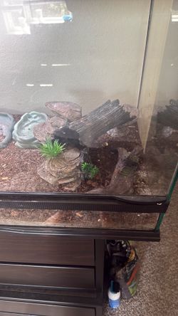 40 Gallon Reptile Tank + Supplies NO Reptile