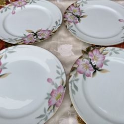 Vintage Nortika Dinner Plates- Azealea 