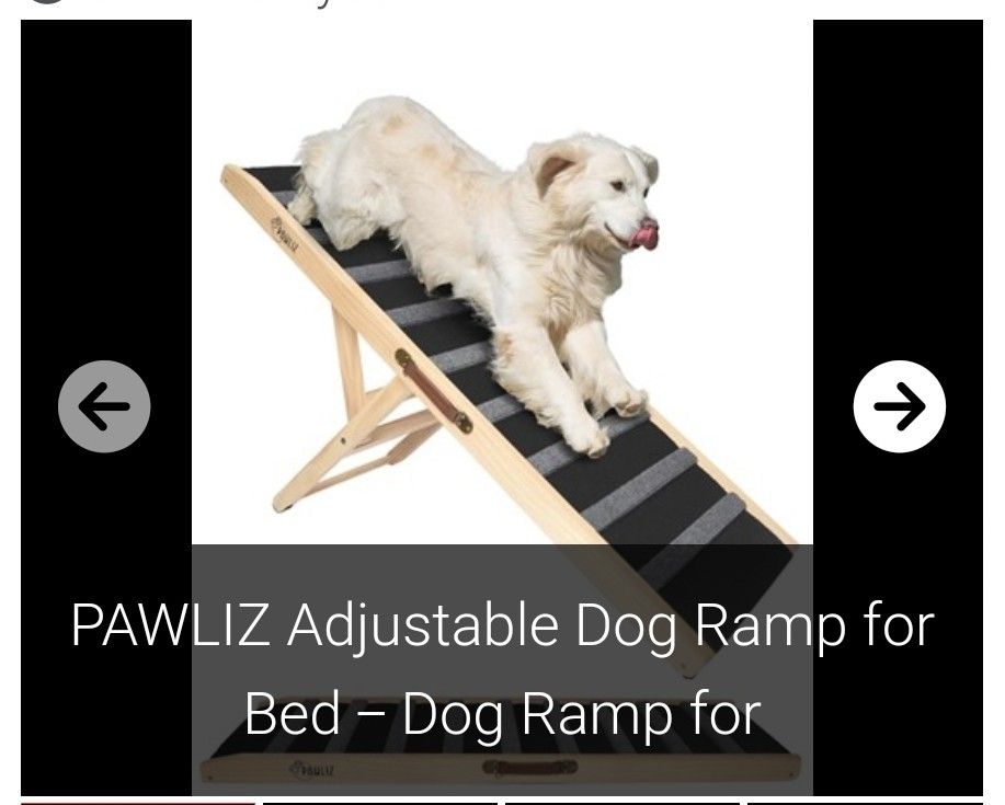 PAWLIZ Adjustable Dog Ramp

