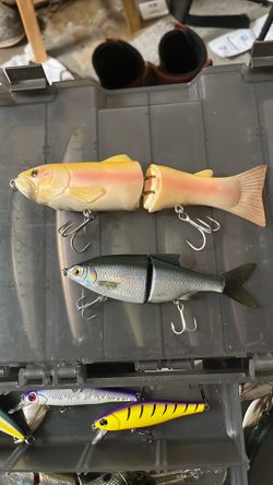 Swim baits