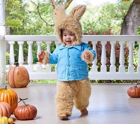 Petter Rabbit Costume