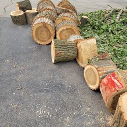 Free Firewood / Logs
