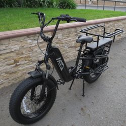 TST 20” Fat Tire Carrier Cargo E-Bike