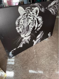 Tiger canvas