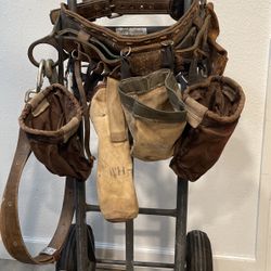 Bucking ham Lineman Climbing Belt & Saddle