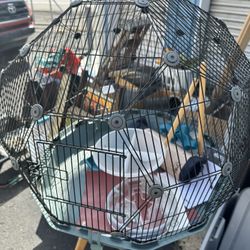 Bird Cage
