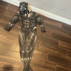 Marvel Black Panther Costume (size Large)