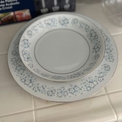 Large Nice China Plates
