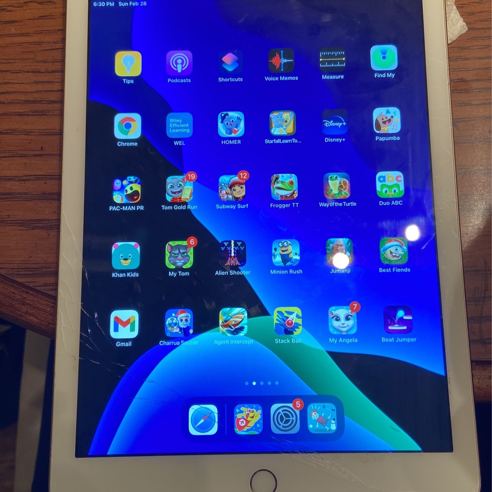 Apple 5th Generation iPad