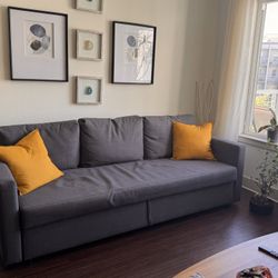 IKEA Friheten Sleeper Sofa