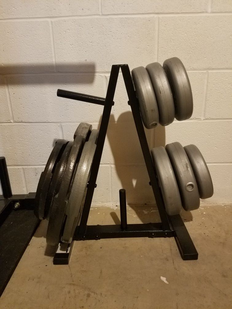 Weider/Gold's Gym/HealthMaster Weights/Bars/Tree