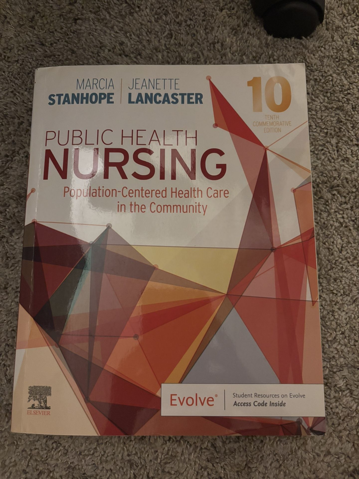 Public Health Nursing