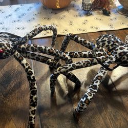 Halloween: Large Spiders