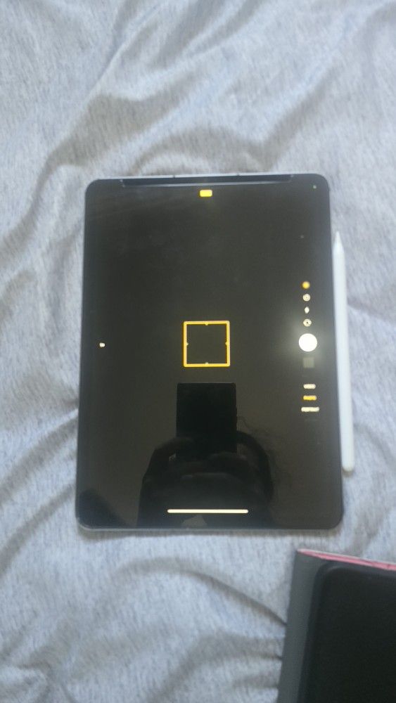 Apple Pro 11 Inch Celluar And WiFi 