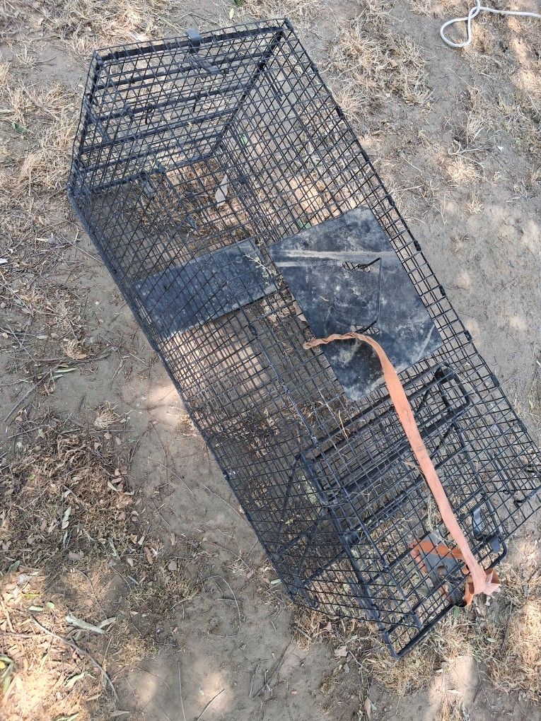 Large Anamil Trap