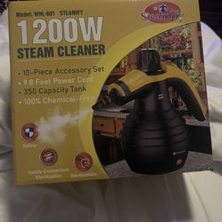 Steam Cleaner