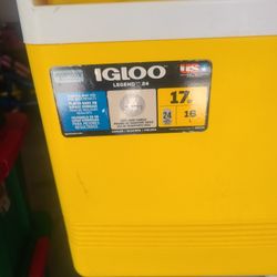 Igloo Cooler 