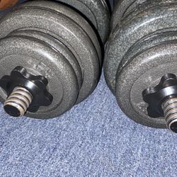 2 Adjustable Dumbbells